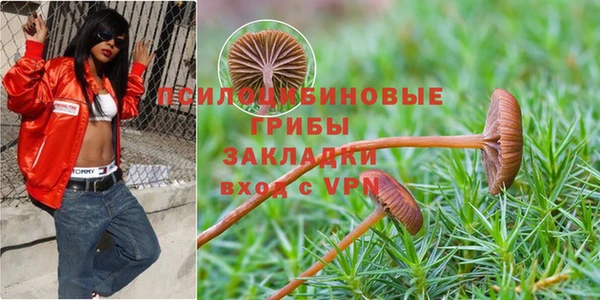 таблы Белоозёрский